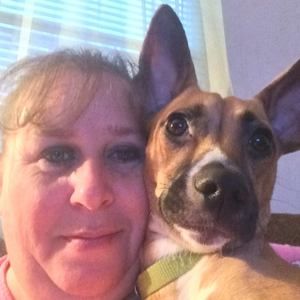 Meet your Posher, Sheila